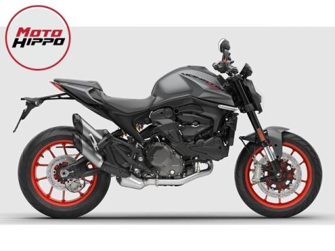 Ducati MONSTER
