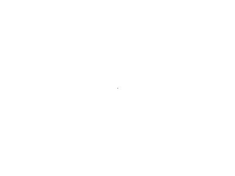 40456446.jpg